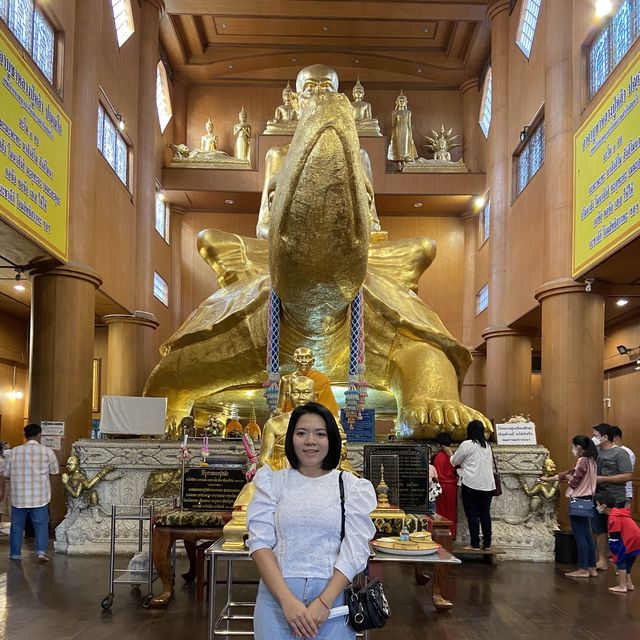 พญาเต่าเรือนหลวงปู่หลิววัดไร่แตงทอง🐢