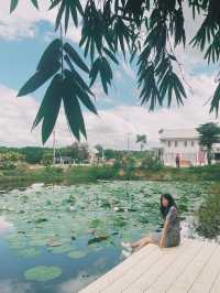 ลออคาเฟ่ คาเฟ่บ้านเรือนไทยประยุกต์
