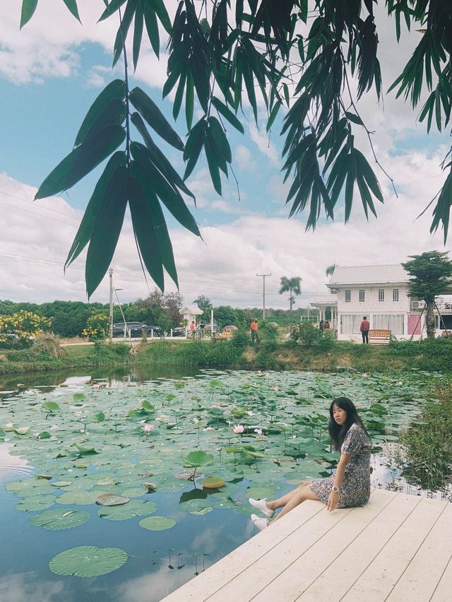 ลออคาเฟ่ คาเฟ่บ้านเรือนไทยประยุกต์