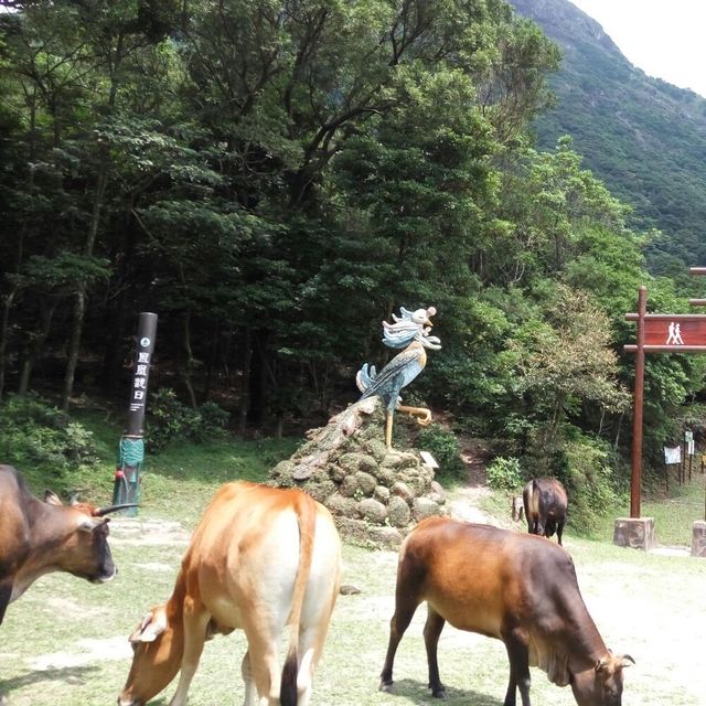 洗滌心靈朝佛之行