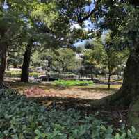 隠れ穴場？！ 京都 建仁寺