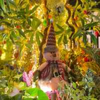 Christmas Light at Botanical Garden