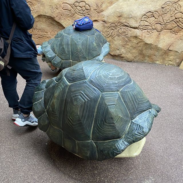 小孤獴與大象龜之旅