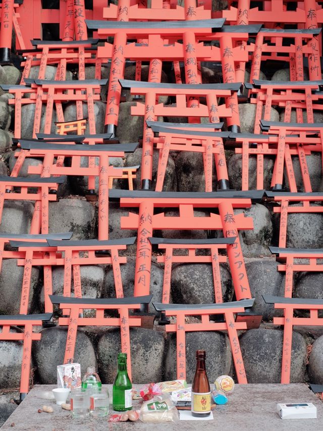 Never-ending Trails of Torii Gates! ⛩