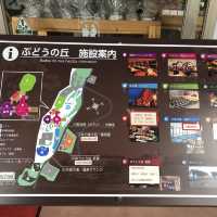 【山梨】180種類のワインが試飲できる「ぶどうの丘」