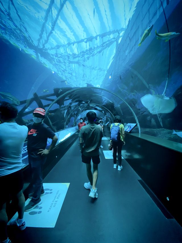 SEA AQUARIUM, SENTOSA, SINGAPORE