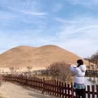 경주 포토존 여행코스 , 대릉원 
