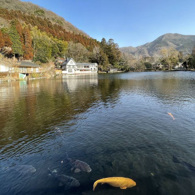 湯の坪街道〜金鱗湖