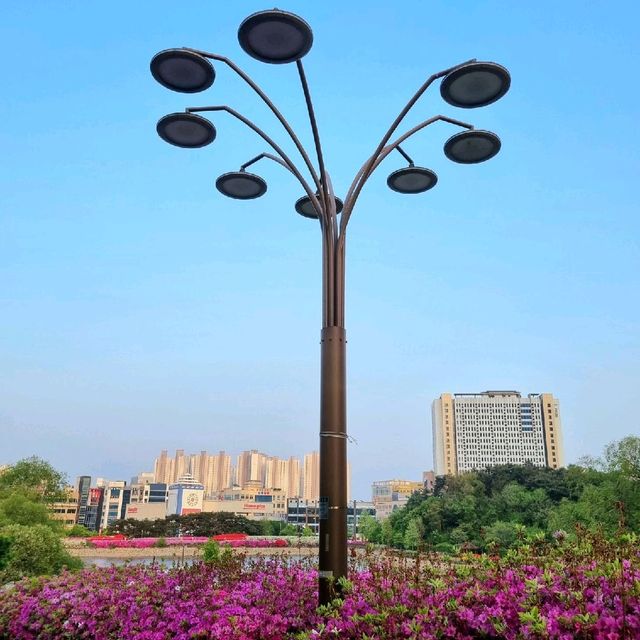 청주 나들이 산책하기 좋은 곳: 오창 호수공원