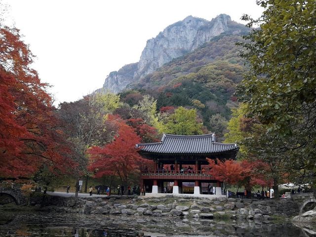 내장산 백양사