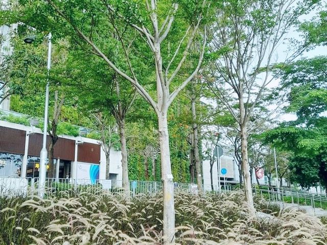 荃灣海濱公園