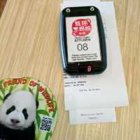 Cute Pandalicious Lunch