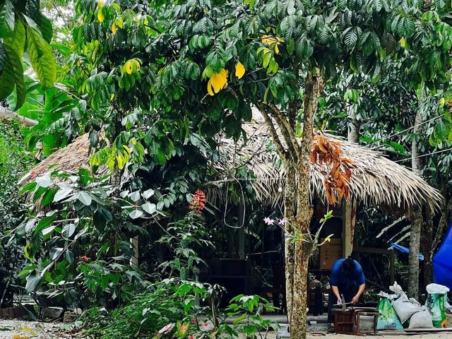 คาเฟ่ในป่ายาง