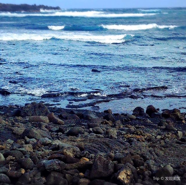 在黑沙灘上看海龜睡覺🐢｜夏威夷祕境🏖️