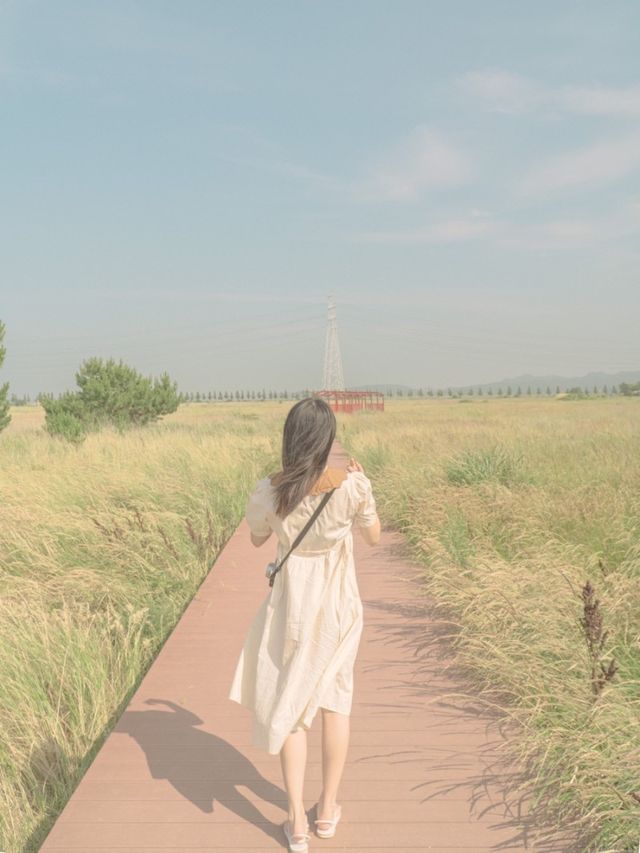 푸릇한 여름을 느낄 수 있는 바다향기 테마파크🌿