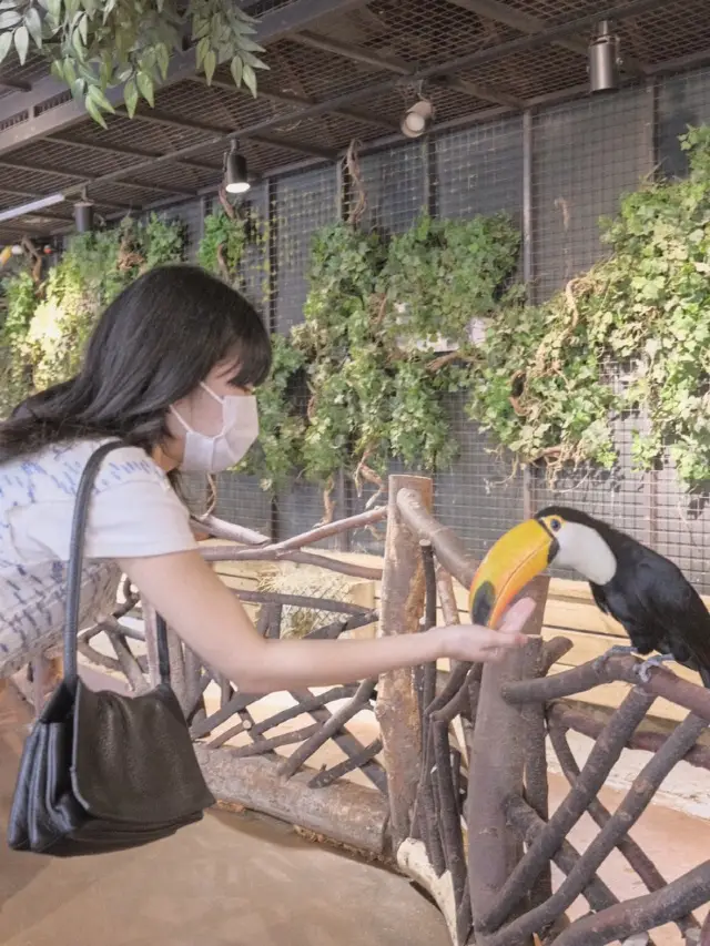 실내데이트로 최고인 하남 주렁주렁🌴