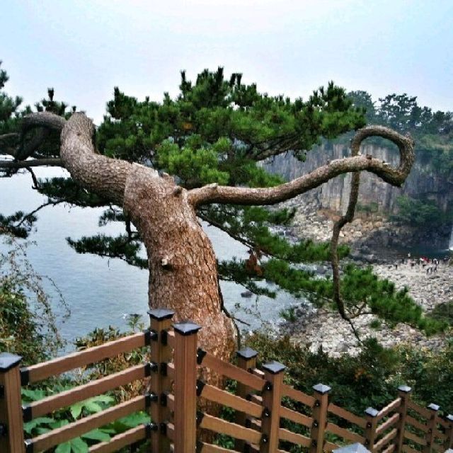 시원시원한 제주도 정방폭포