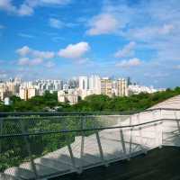 Henderson Waves Bridge