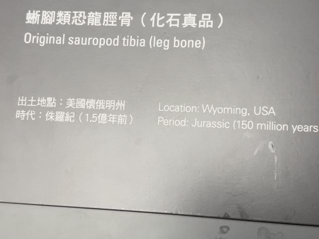 香港八大尋龍記，竟然可以摸到真化石！