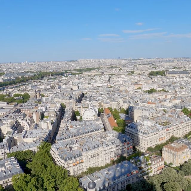 A view from the Eiffel Tower