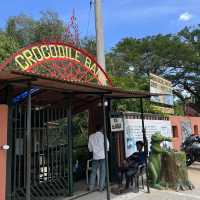 Fun with real crocodiles @ crocodile bank 