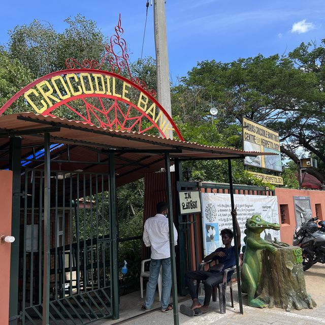 Fun with real crocodiles @ crocodile bank 