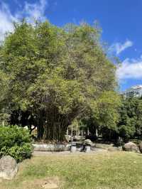 新北中和 ｜ 中和公園 aka 四號公園)