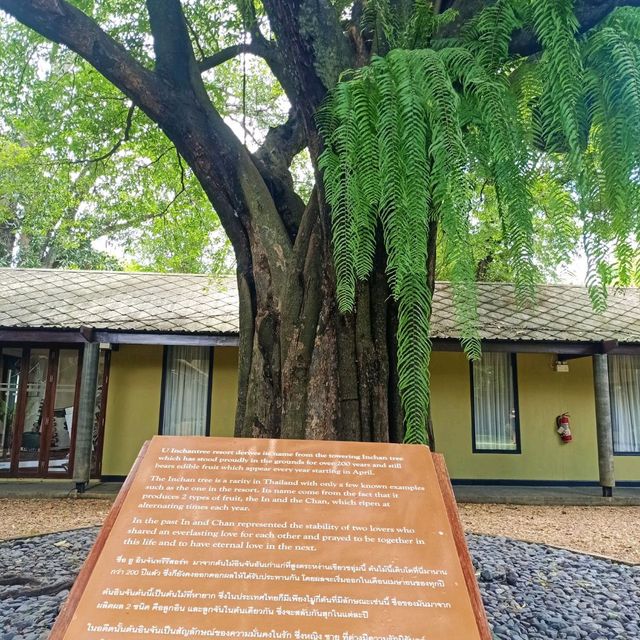บรรยากาศ โรงแรม ยู อินจันทรี กาญจนบุรี