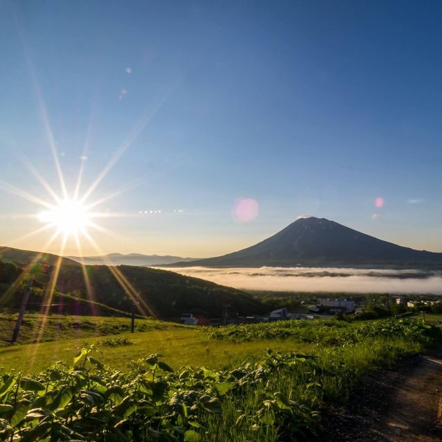 #北海道二世古酒店｜毗鄰滑雪場靚景酒店