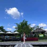 Jungle De Cafe’ buffalo island " เชียงใหม่