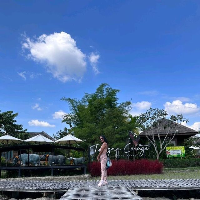 Jungle De Cafe’ buffalo island " เชียงใหม่