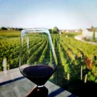 Saint Emilion Winery Tour Visit