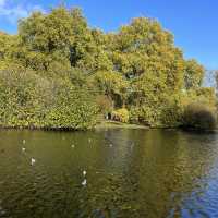 St James Park 