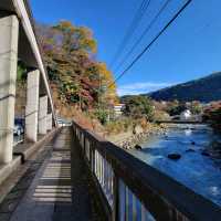 【綺麗な街並】箱根湯本