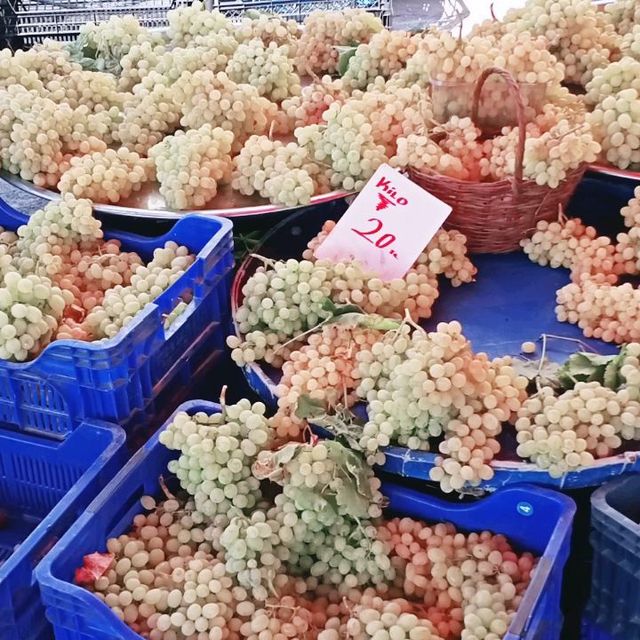 土耳其愛琴海小鎮...阿拉恰特