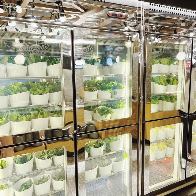 人氣火鍋放題🍲