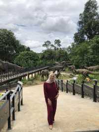 ; DINOSAUR ENCOUNTER, MALACCA.🦖