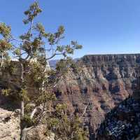 Mesmerizing views from Grand Canyon