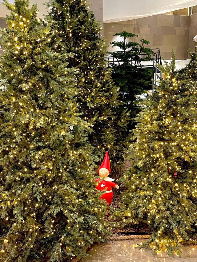 부산 대형 트리존 구경하러 고고🎄