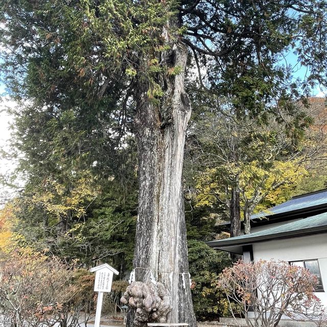 【日光】紅葉時期は特に大人気‼︎中禅寺湖と山を感じてみて🥰