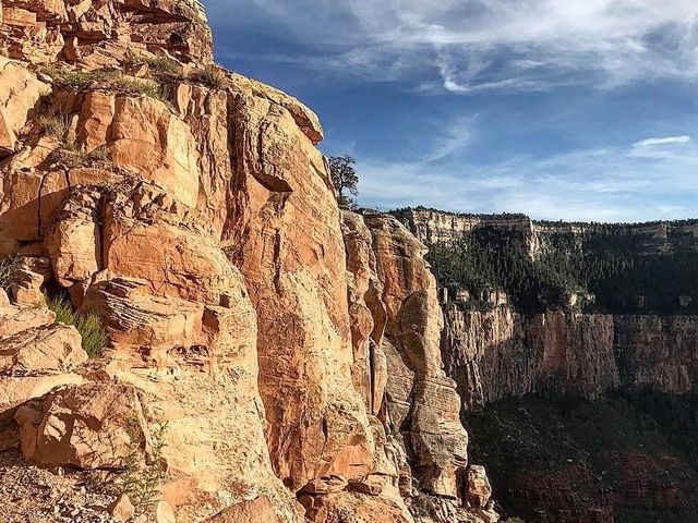 Grand Canyon National Park 