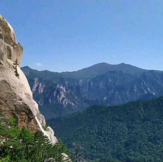 Dinosaur Ridge