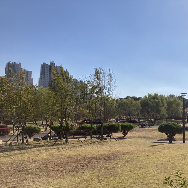 경기도 파주 공원 피크닉_운정호수공원