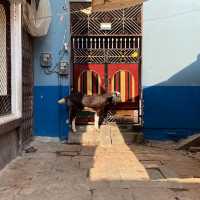 VARANASI THE MAGIC CITY