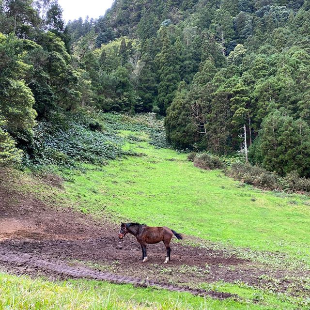 Azores is the new TREND in the world