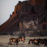 Inner Mongolia is epic. That’s the title.