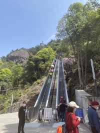 Incredible bridges in zhejiang