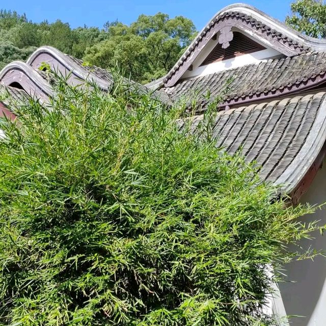 美的力量丨中国美术学院