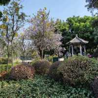 An oasis in a concrete jungle