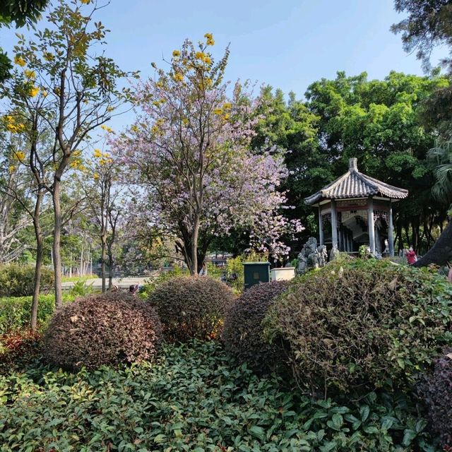 An oasis in a concrete jungle